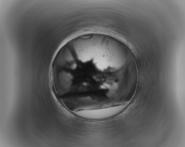 X0000116861522200912291250