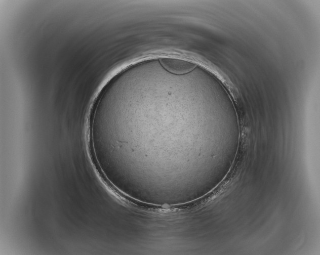 X0000116861523200912291250