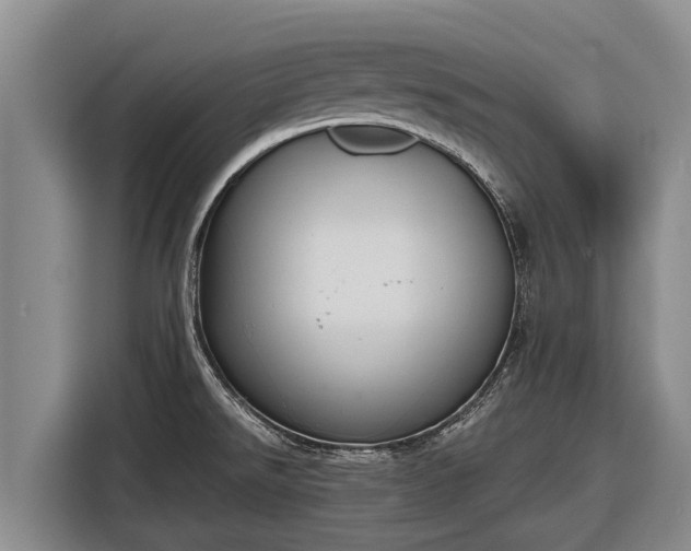 X0000116861526200912291250