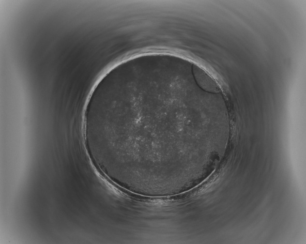 X0000116861527200912291250