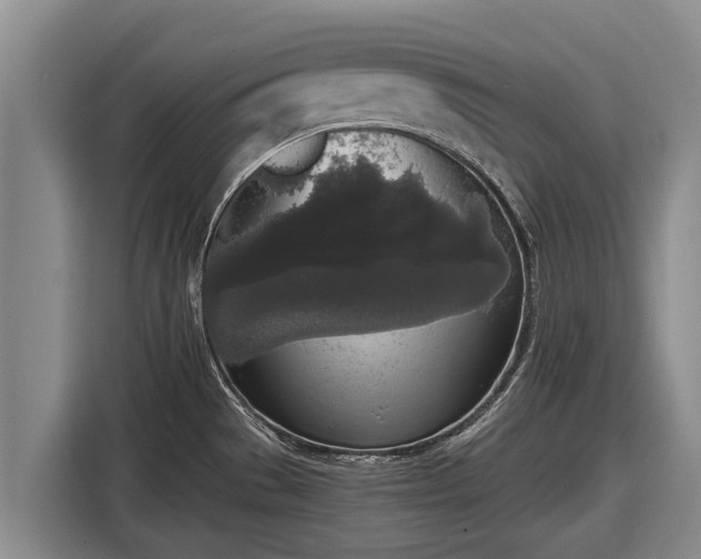 X0000116861529200912291250