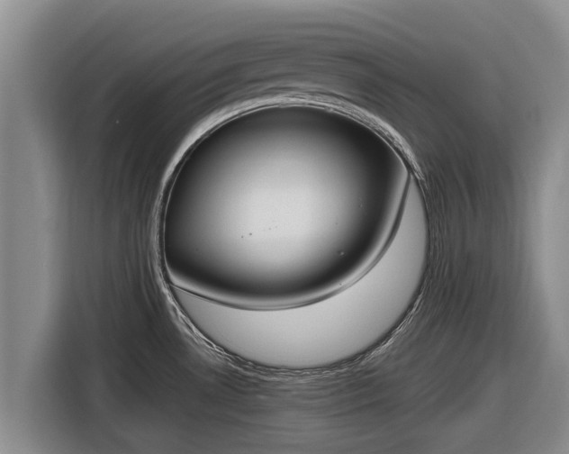 X0000116861530200912291250
