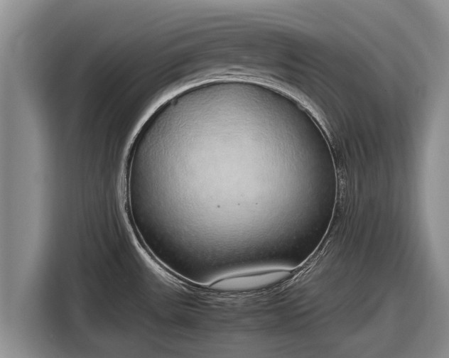 X0000116861531200912291250