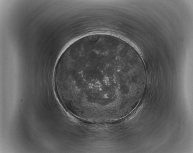 X0000116861533200912291250