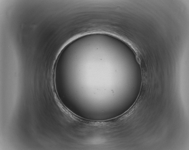 X0000116861534200912291250