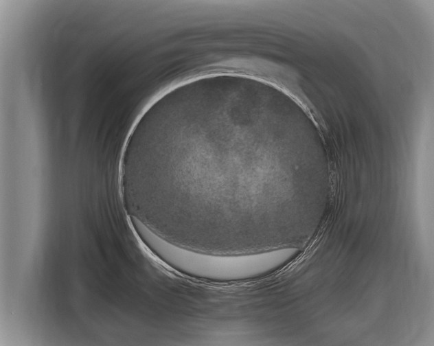 X0000116861535200912291250