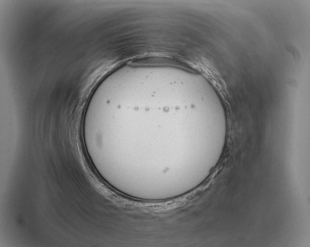 X0000116860001201001051434