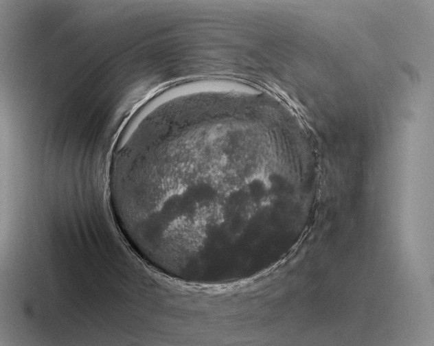 X0000116860002201001051434