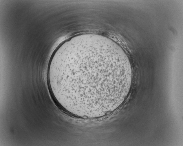 X0000116860003201001051434