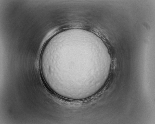 X0000116860004201001051434