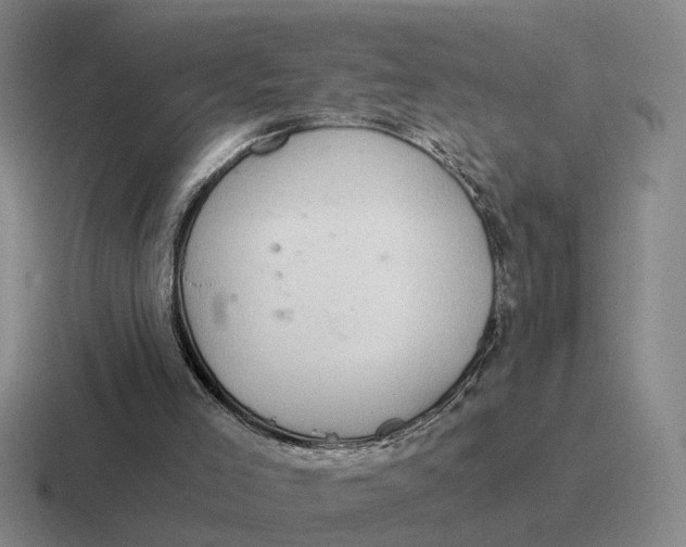 X0000116860005201001051434