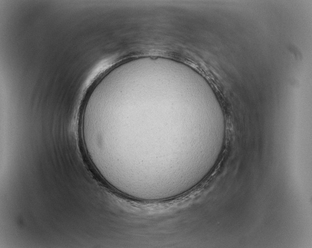 X0000116860006201001051434