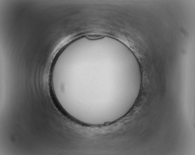 X0000116860007201001051434