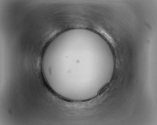 X0000116860009201001051434