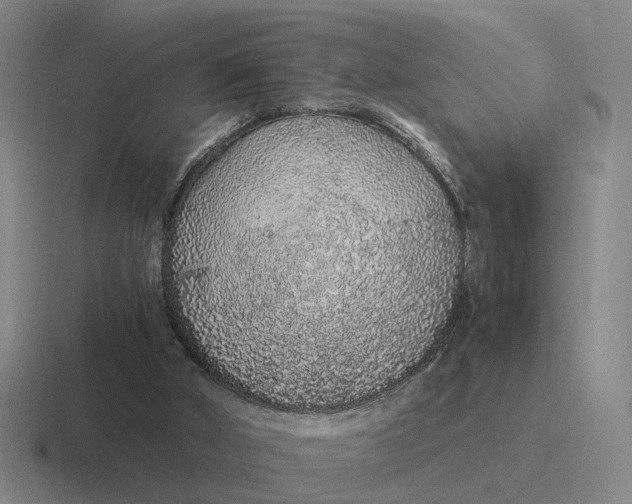 X0000116860010201001051434