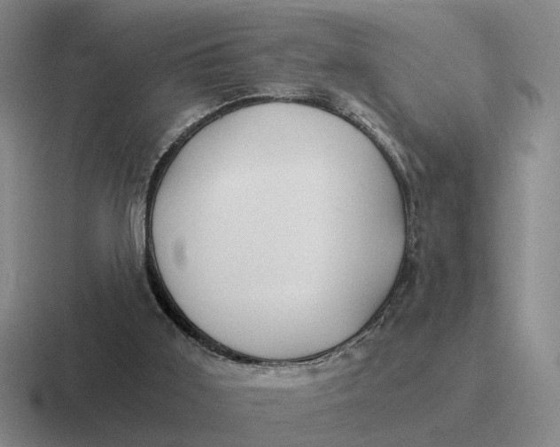 X0000116860011201001051434