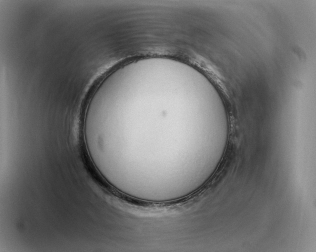 X0000116860012201001051434