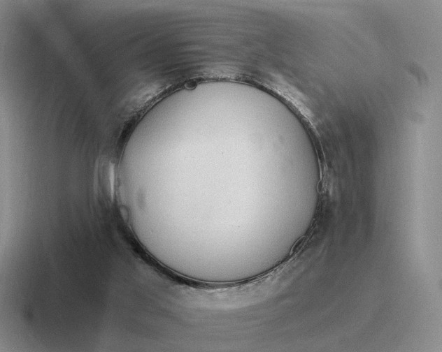 X0000116860013201001051434