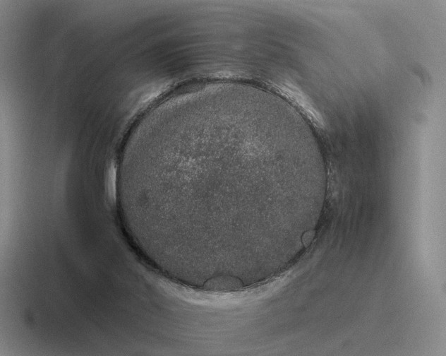 X0000116860014201001051434