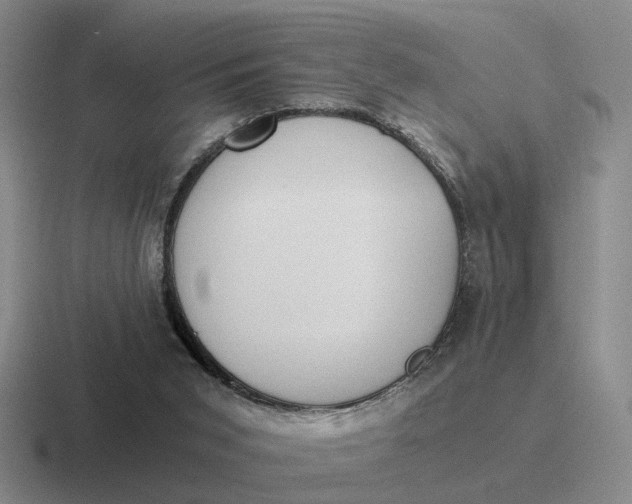 X0000116860015201001051434