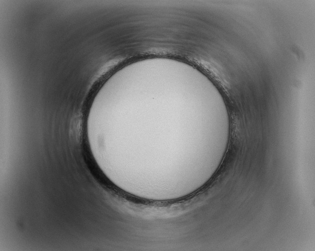 X0000116860016201001051433