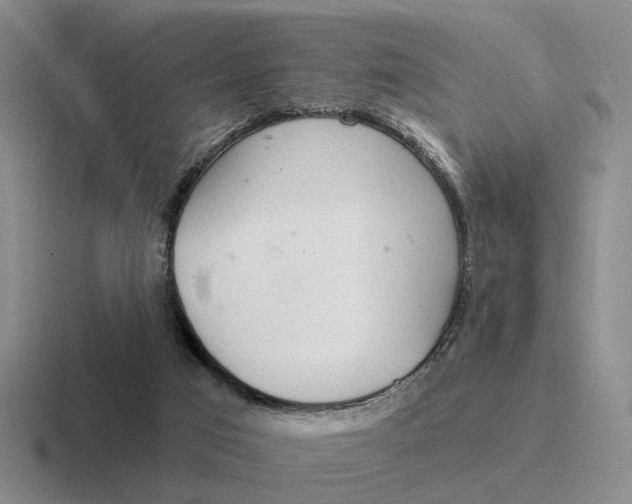 X0000116860017201001051433