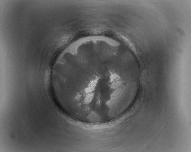 X0000116860018201001051433