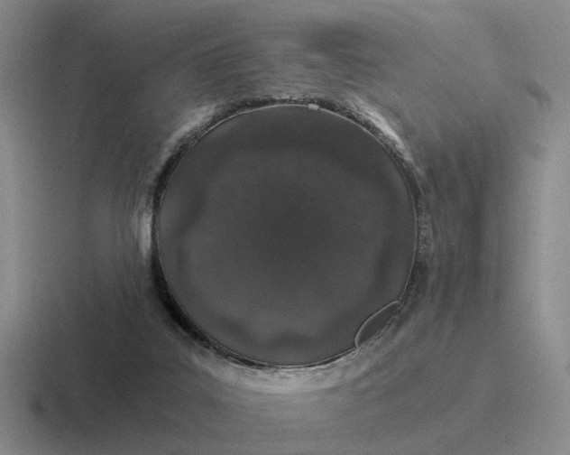 X0000116860019201001051433