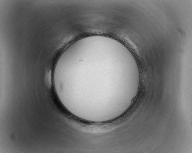 X0000116860020201001051433