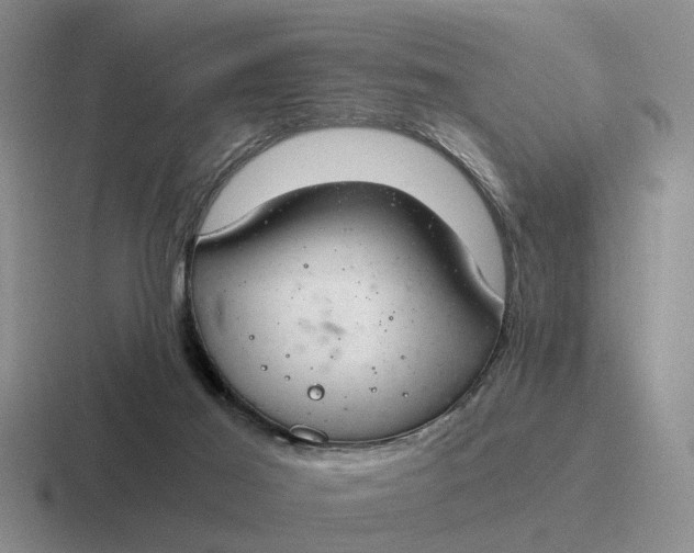 X0000116860021201001051433