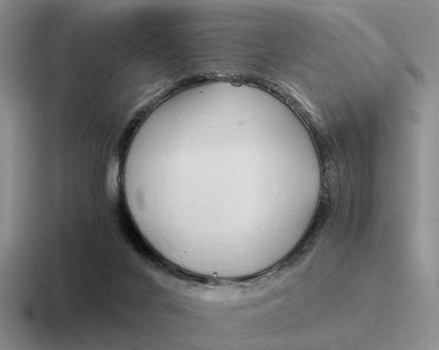 X0000116860024201001051433