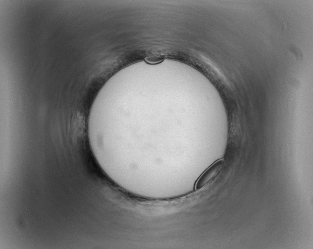 X0000116860025201001051433