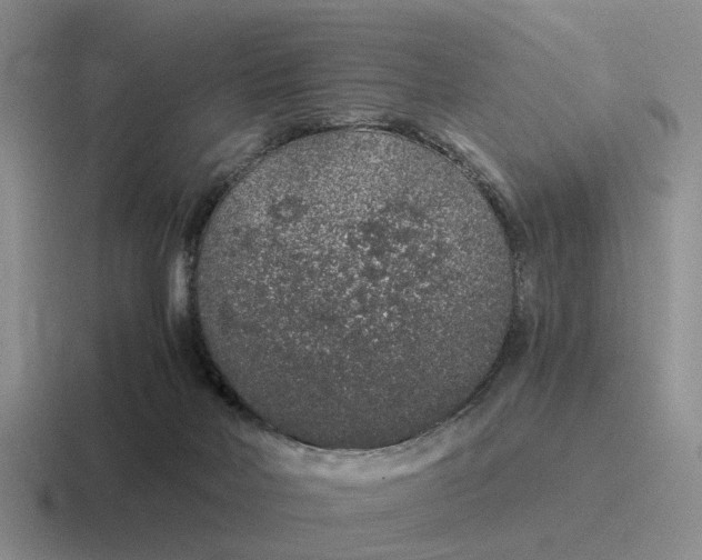 X0000116860026201001051433