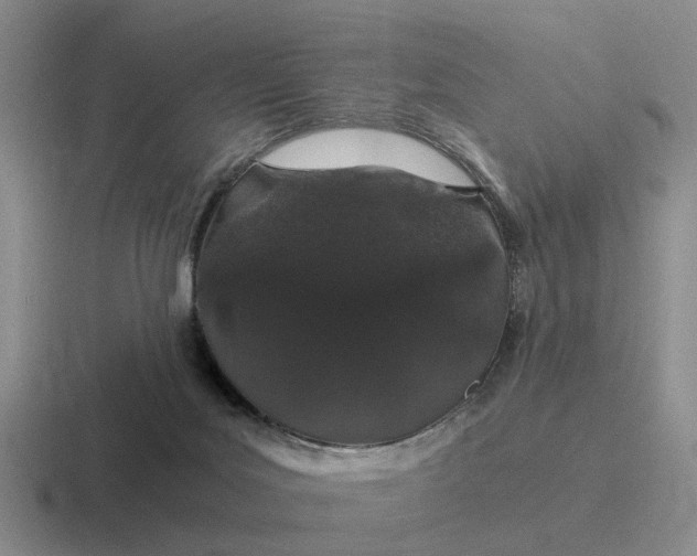 X0000116860027201001051433