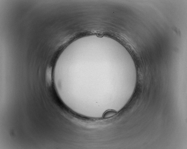 X0000116860028201001051433