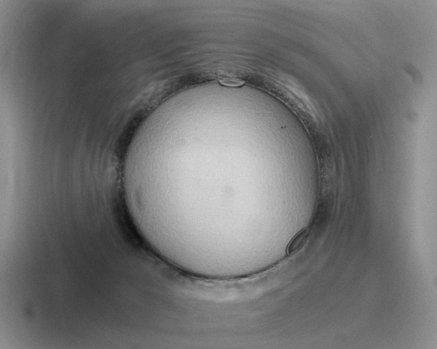 X0000116860029201001051433