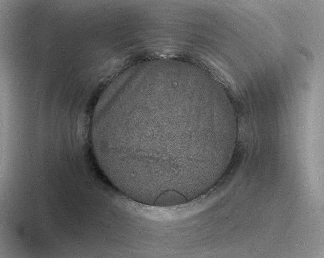 X0000116860030201001051433