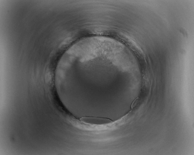 X0000116860031201001051433