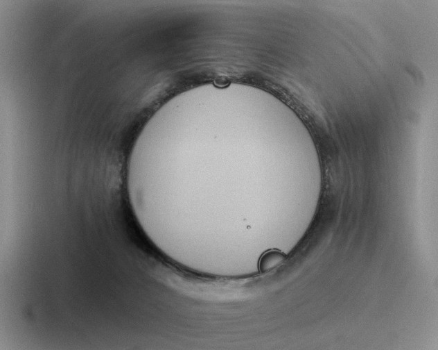 X0000116860032201001051433