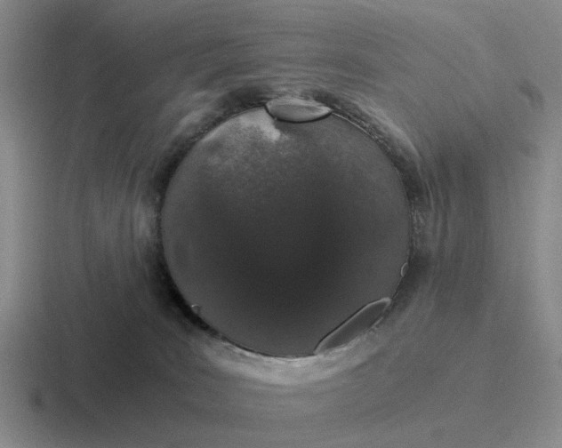 X0000116860035201001051433