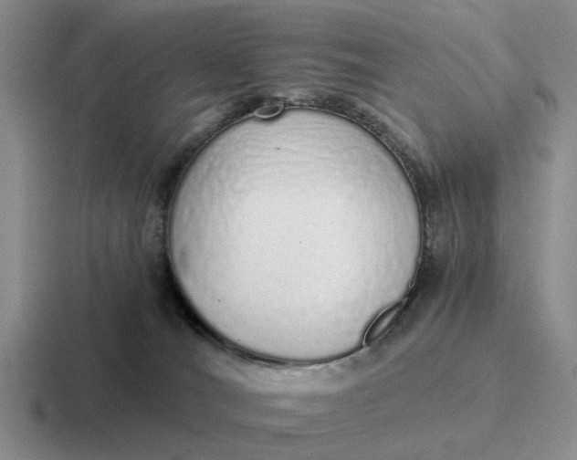 X0000116860036201001051433