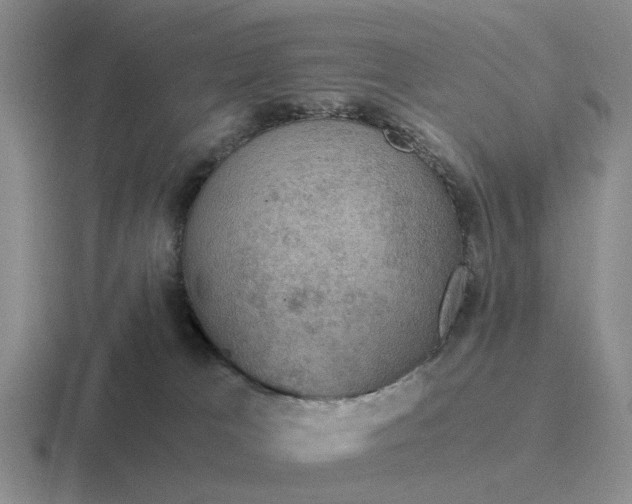 X0000116860037201001051433