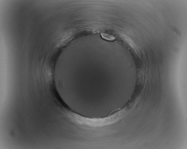 X0000116860039201001051433