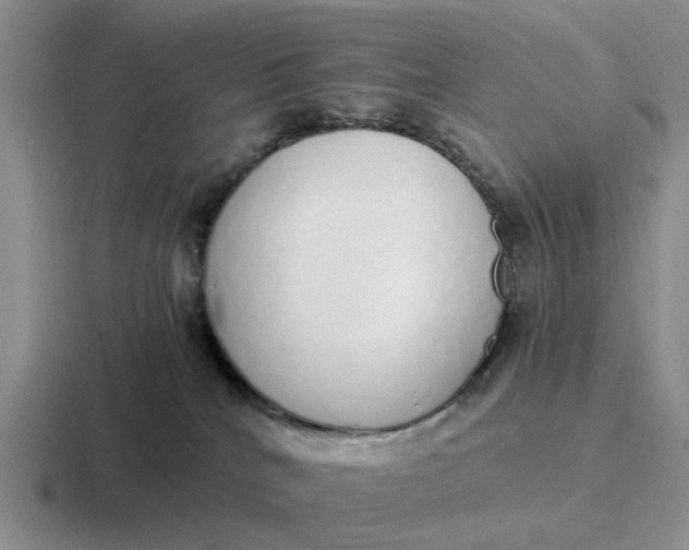 X0000116860040201001051433