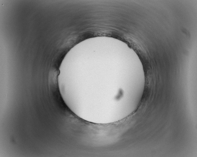 X0000116860041201001051433