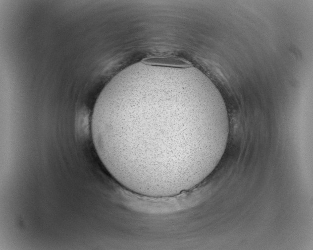 X0000116860042201001051433