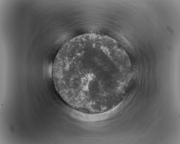 X0000116860047201001051433