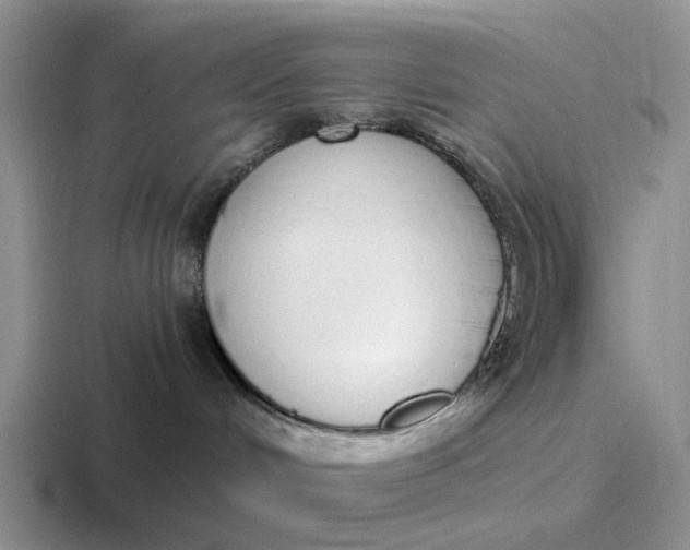 X0000116860048201001051433