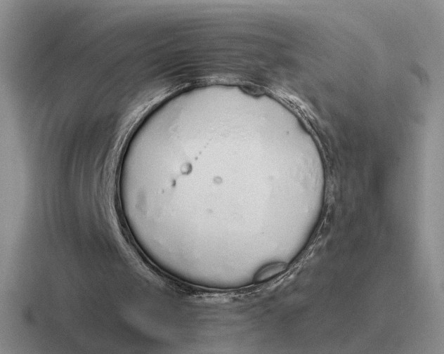 X0000116860049201001051432