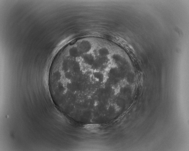 X0000116860051201001051433